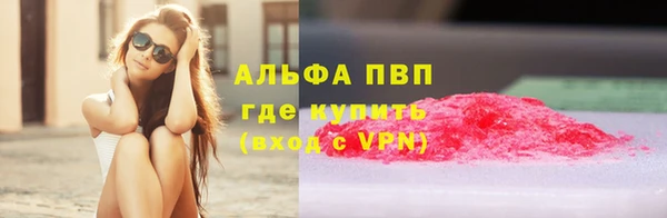 прущие грибы Богородицк