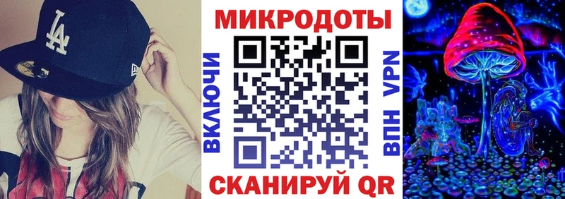 Купить  Тосно  Псилоцибиновые грибы Cubensis 